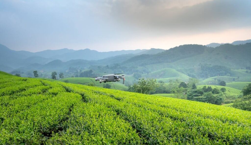 Tecnologia na Agricultura: 5 inovações que estão transformando a agropecuária Agricultura de Precisão