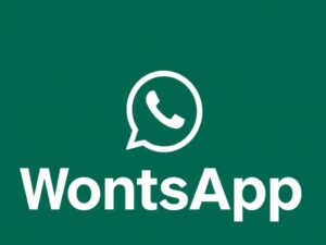 lotazap grupo de whatsapp comparativos